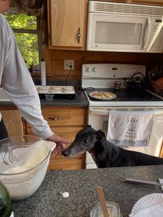 a person feeding a dog something out of a bowl in a kitchen with wooden cabinets