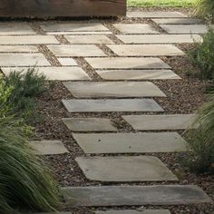 a stone path in the middle of a garden