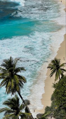 the beach is lined with palm trees and blue water