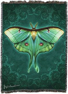 a painting of a green moth on a blue and green background with swirls around it