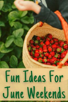 Fun Ideas for June Weekends: strawberry picking in summer Emergency Preparedness, Warm Weather, Things To Do