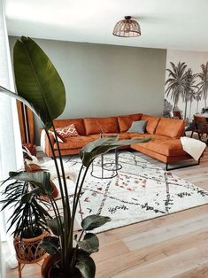 a living room filled with furniture and plants