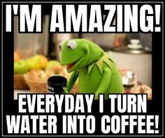 kermik the frog holding a coffee cup with caption that reads, i'm amazing everyday turn water into coffee