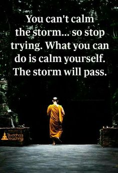 Calm Yourself, Quotes About Moving, Calming The Storm, Inspirational Quotes About Success, Buddha Quotes, My Self, Quotes About Moving On, Moving On