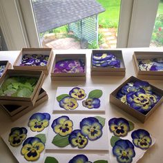 there are many pansies in the boxes on the table and one is painted with blue and yellow flowers