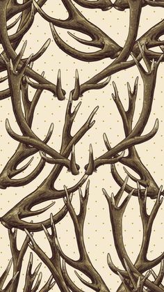 an image of deer antlers on a beige background