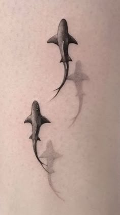 three dolphins swimming in the ocean together on a white sheet with water droplets around them