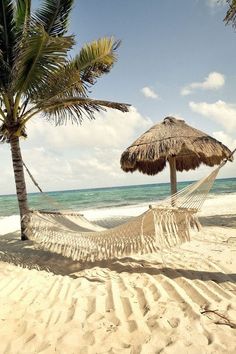 there is a hammock on the beach with two palm trees in front of it