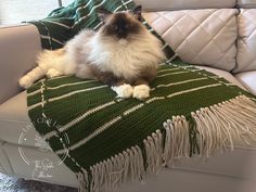 a cat sitting on top of a green and white blanket