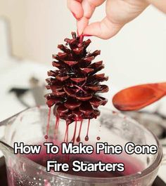 How To Make Pine Cone Fire Starters There are a lot of fire starters out there, but these are cool and can have them as a decoration in the house if nothing else, until you need them. This DIY project is creative How To Make Wax Fire Starters, Wax Dipped Pine Cones, Dipped Pinecones, Pinecone Fire Starters, Wax Diy, Fire Starters Diy, Brown Tree, Winter Wedding Favors