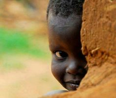 a young child is peeking out from behind a tree trunk and looking at the camera