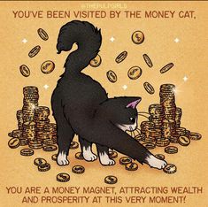 a black and white cat sitting on top of stacks of coins with the caption you've been visited by the money cat