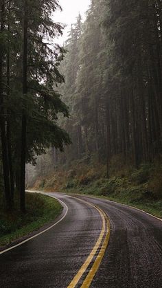 an empty road in the middle of a forest