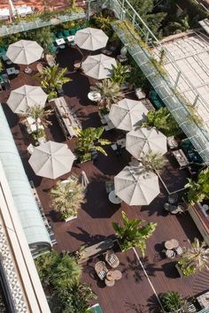 an overhead view of tables and umbrellas on the roof of a building with palm trees