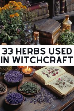 Unlock the secrets of witchcraft herbs in our latest article! Discover the witchcraft meaning of poppies, marjoram, and other powerful herbs. Explore different types of herbs used in Wicca witchcraft and by the pagan witch for enhancing fertility, healing spells, and protection. This beginner's guide includes a meanings list for herbs and spices that promote health, luck, money, love, and peace. Transform your kitchen into a space for magical growth! Kitchen Witch Ingredient Meanings, Witchcraft Herbs Meanings List, Witchy Herbs And Meanings, Fertility Herbs Witchcraft, Herb Knowledge, Herbs For Witchcraft, Herb Meanings, Witchcraft Meaning, Wicca Herbs