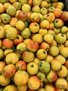 a pile of apples sitting next to each other