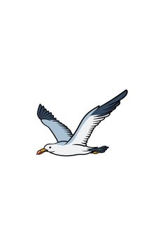 a seagull flying in the sky with its wings spread