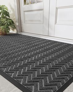 a door mat that has been placed in front of a white door with a potted plant next to it