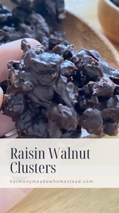 raisin walnut clusters on a wooden spoon with text overlay reading raisin walnut clusters