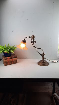 a desk lamp sitting on top of a white table next to a potted plant