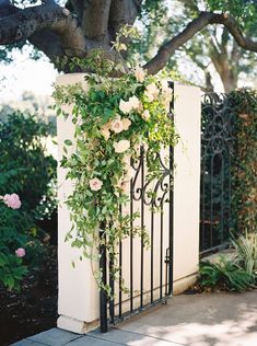 an iron gate with flowers growing on it next to a tree and shrubbery in the background