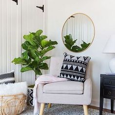 a living room filled with furniture and a potted plant in front of a mirror