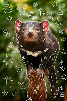 an animal that is sitting on top of a pine cone with many symbols around it