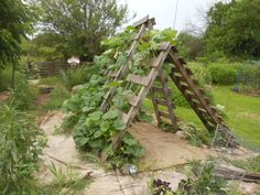 a wooden structure with green plants growing on it's sides in a garden area