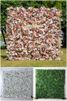 several different types of flowers are shown in this collage with the same color and size