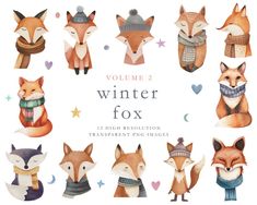 the watercolor fox illustrations are all in different colors