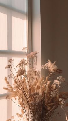 dried flowers in a vase sitting on a window sill