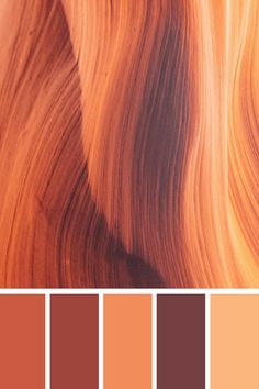 an orange and brown color scheme with different shades