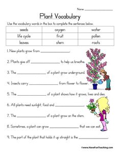 plants and flowers worksheet for kids to practice plant vocaultry in the classroom