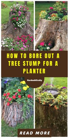 how-to-bore-out-a-tree-stump-for-a-planter Sun Loving Plants, Old Tree, Handcrafted Decor, Garden Guide, Garden Pathway