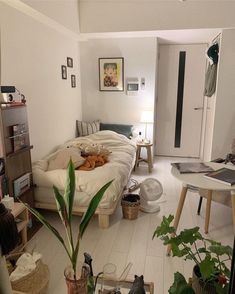 a bed room with a neatly made bed and lots of plants