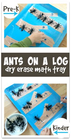 an easy and fun activity for kids to do with the spider on a log