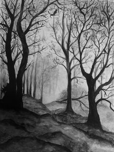 black and white drawing of trees in the woods