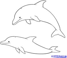 two dolphins jumping in the air coloring page