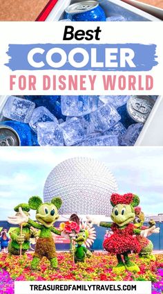 Best Cooler for Disney World Disney World Itinerary, Disney World With Toddlers, Disney World Packing, Travel Bucket List Usa, Disney World Florida, One Day Trip, Disney Holiday