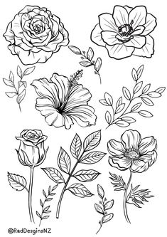 some flowers are drawn in black and white