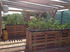 an outdoor garden area with wooden planters and pergolated roofing on the patio