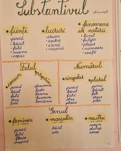 a poster with some writing on it that has different types of words written in spanish