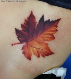 a leaf tattoo on the back of a woman's stomach, with red and orange leaves