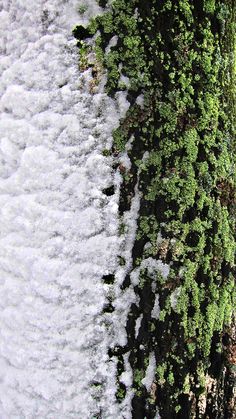 an aerial view of snow and trees in the woods