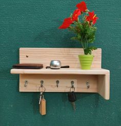 a potted plant is sitting on a shelf with keys and key hooks attached to it