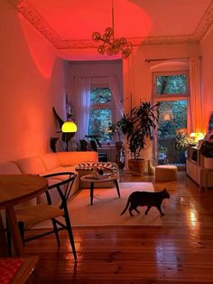 a cat walking through a living room with red lights on the ceiling and furniture in the background