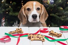 a dog is looking over a table with cookies and christmas decorations on it, including a tree