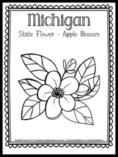 michigan state flower - apple blossom coloring page