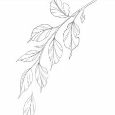 a branch with leaves drawn on it