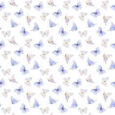 a group of butterflies flying in the air on a white background with blue and yellow colors